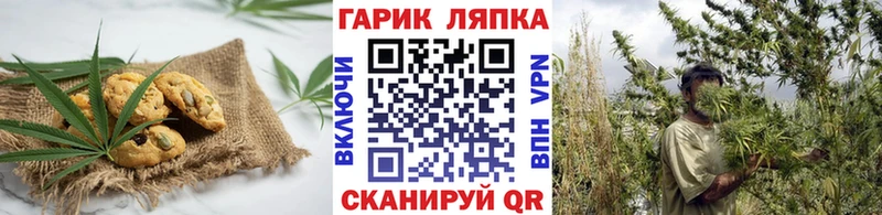 Еда ТГК марихуана  Купить закладки  Новоалтайск 